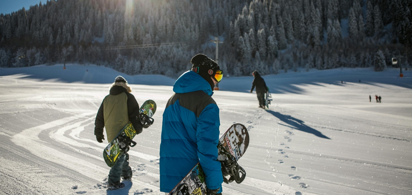 Decorative hero background